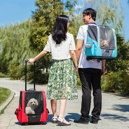 PetPal 3-in-1 Travel Companion