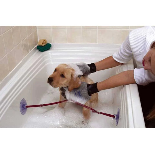 Ezybathe Bathing Kit for Puppies, Small Dogs & Cats