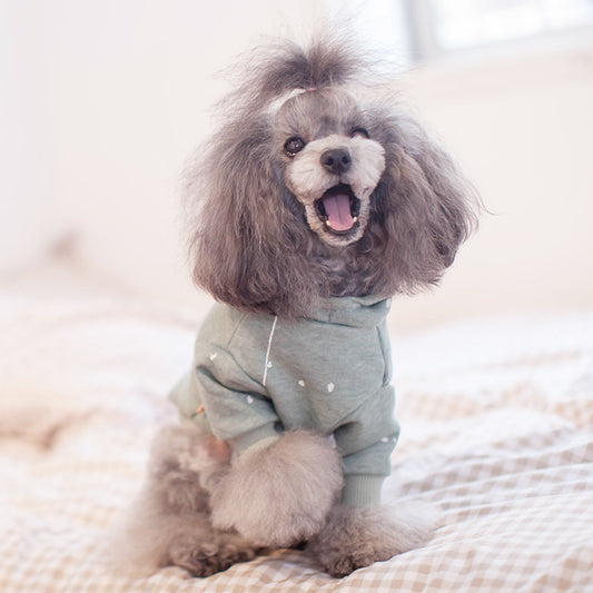 Cozy Canine Comfort Sweater