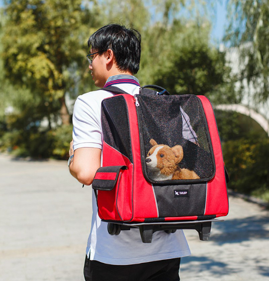 PetPal 3-in-1 Travel Companion