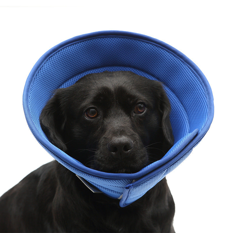 HealEase Pet Recovery Collar