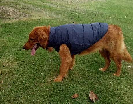 FrostGuard Canine Coat