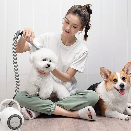 FurFusion Pet Grooming Device