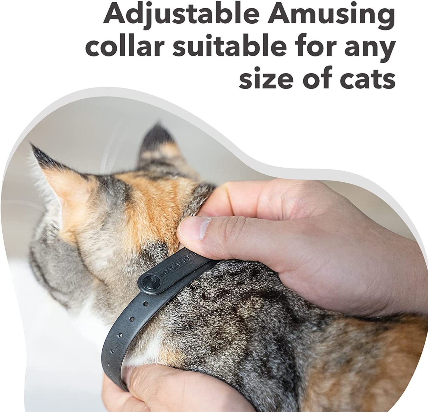 LaserPurr Fun Cat Collar