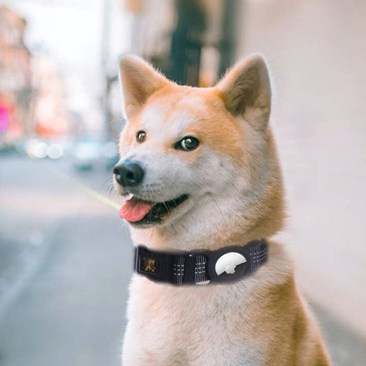 Track And Trace Pet Collar