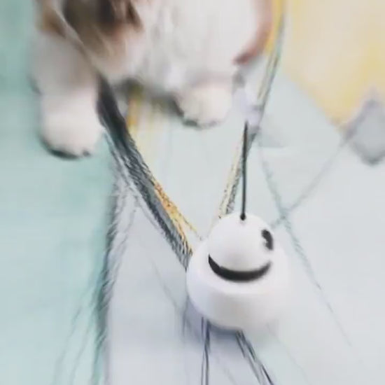 Cat toy funny cat toy three in one