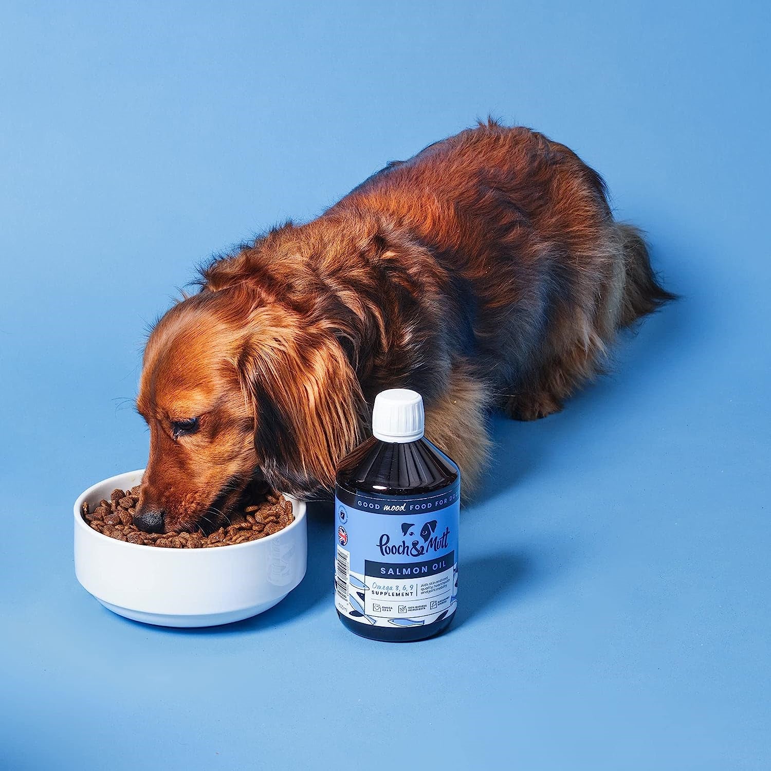 Pooch & Mutt - Natural Salmon Oil Supplement for Dogs and Cats Rich in Omega 3,