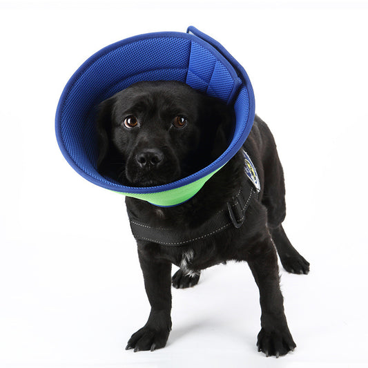 HealEase Pet Recovery Collar