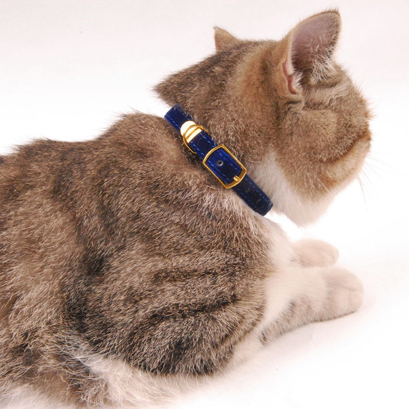 KittyComfy Collar