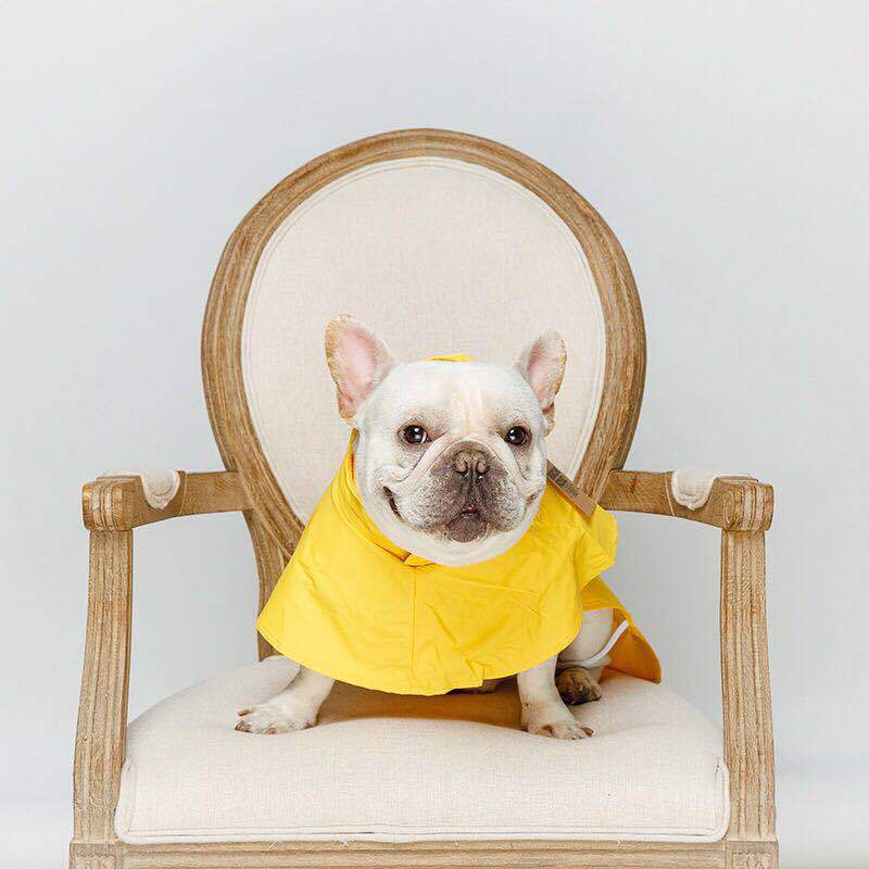 SplashSavvy Pet Raincoat