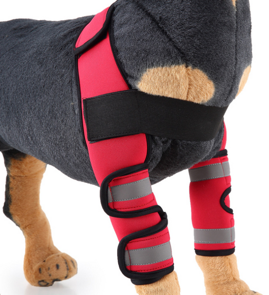 Guardian Pet Dog Knee Support Sleeves