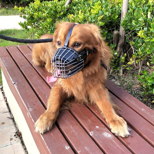 HushHound Leather Dog Muzzle - FurryHush©️
