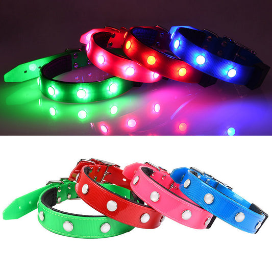 GlowPaws Light-Up Cat & Dog Collar
